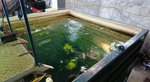 A training pool for underwater welding training inside an underwater training chamber.