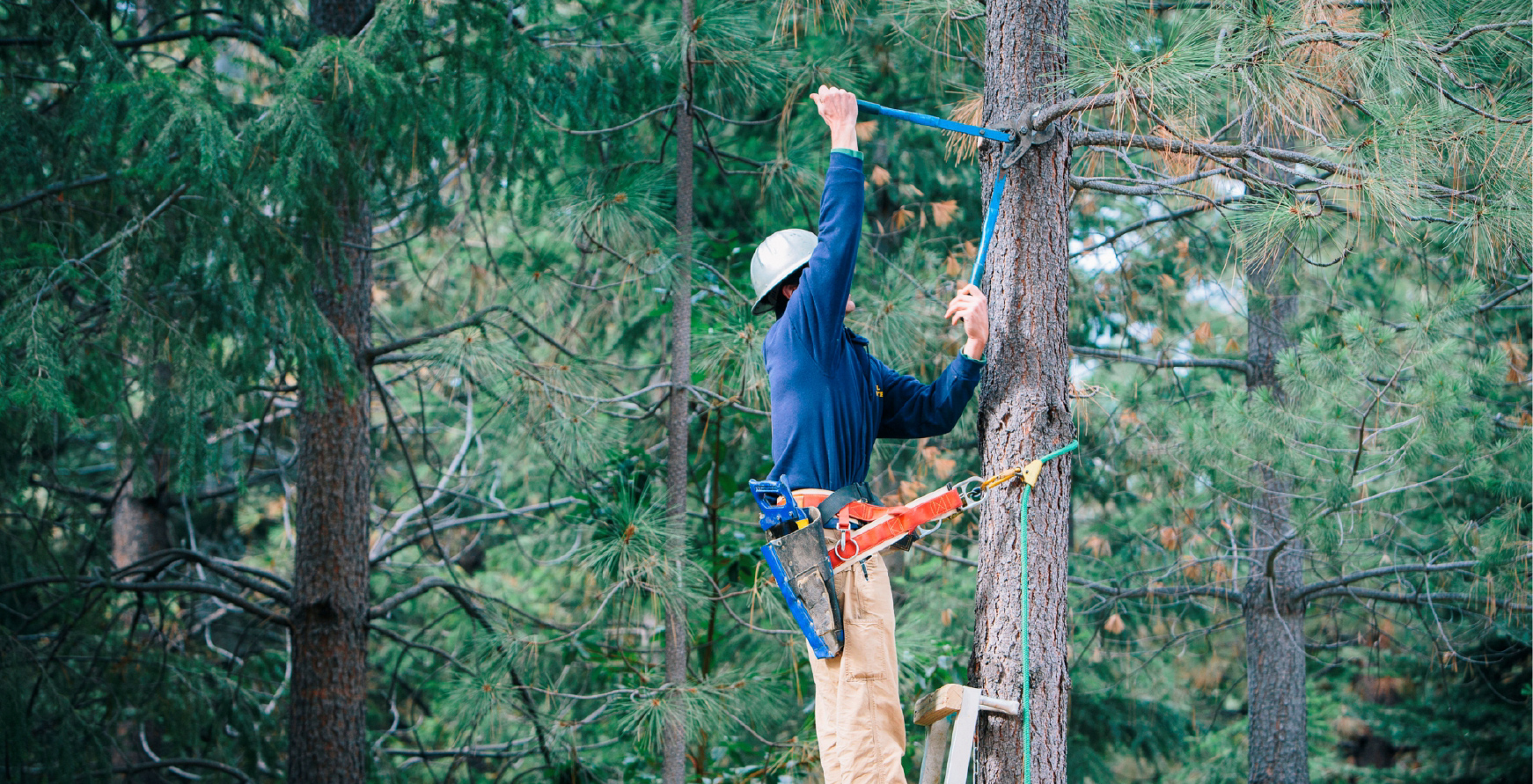 Three Reminders from the Ministry of Labor on Rights, Interests of Foreign Forestry Workers Receiving Labor Insurance Three Reminders from the Ministry of Labor on Rights, Interests of Foreign Forestry Workers Receiving Labor Insurance